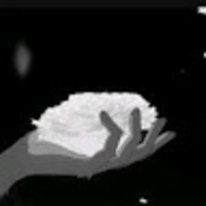 Meet your Posher, Mia kathman